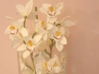 호텔 세인트 루이스 마르세유